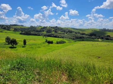 Rural - Venda - rea Rural de Duartina - Duartina - SP