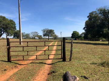 Stio - Venda - rea Rural de Paulistnia - Paulistnia - SP