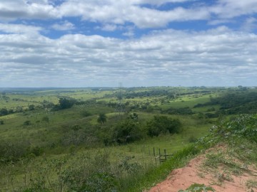 Fazenda - Venda - rea Rural de Bauru - Bauru - SP