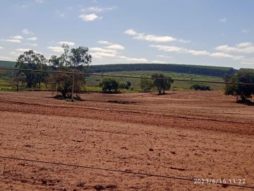 Fazenda - Venda - rea Rural de Glia - Glia - SP