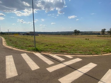 Terreno em Condomnio - Venda - Vila Santa Maria - Piratininga - SP